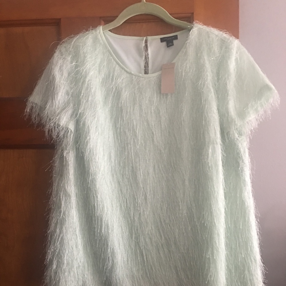 NWT Ann Taylor mint green Fringe top size 10